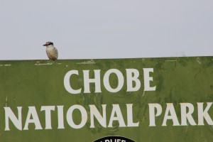 Chobe Park