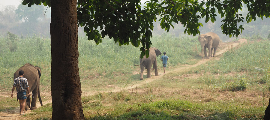 Golden Triangle – the land of Three Countries