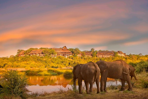 Victoria Falls Safari Lodge, Zimbabwe